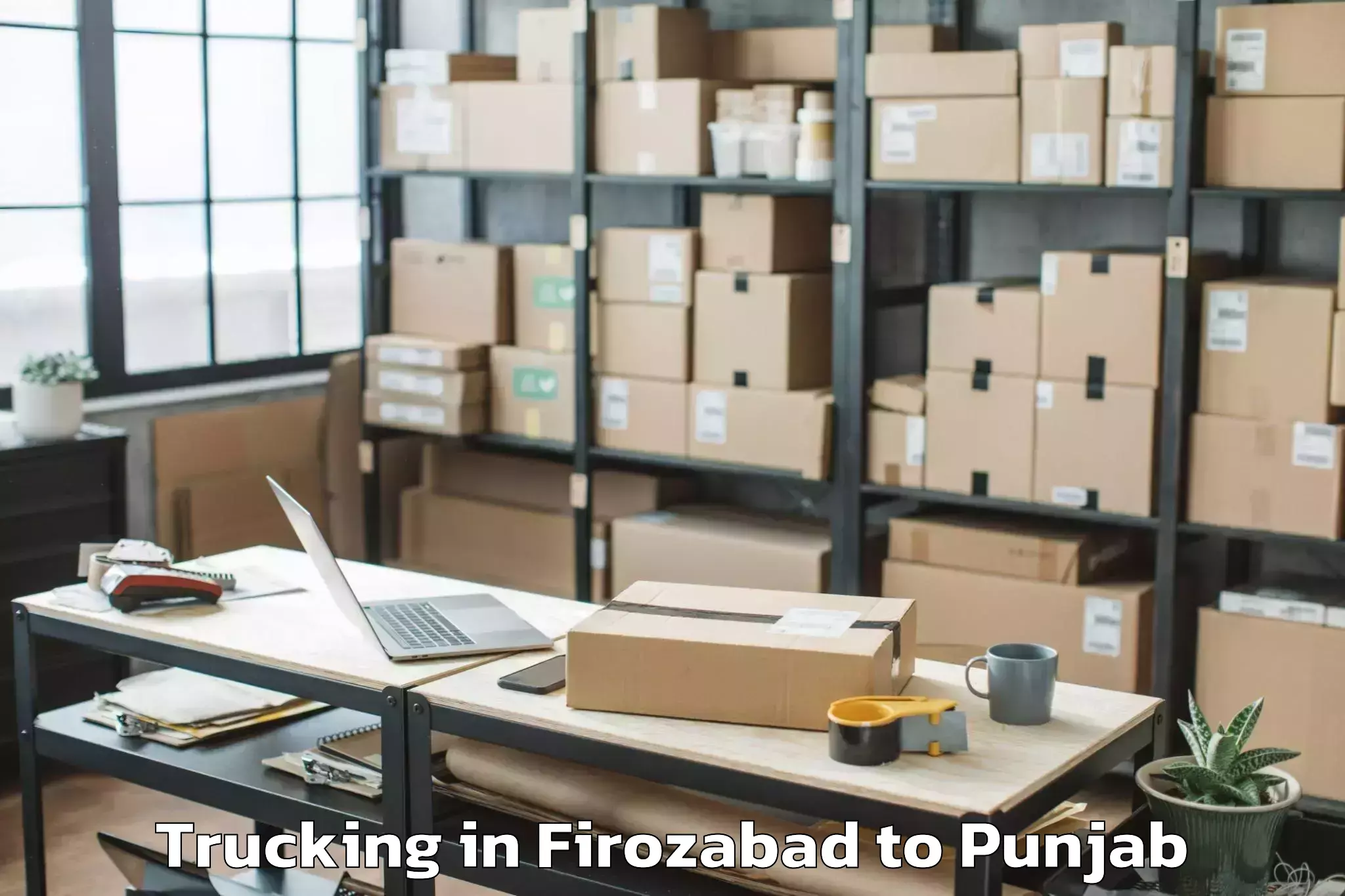 Reliable Firozabad to Vr Mall Punjab Trucking